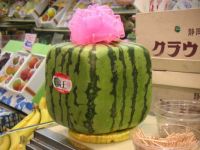 Japanese Watermelon