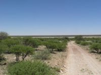 Mabusehube Pans Kgalagadi Game Reserve Botswana