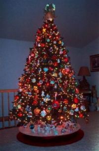 Christmas Tree is Ready