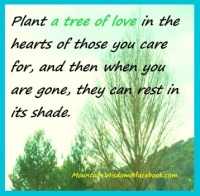 ~Plant a seed in the ones you care for, not only family~