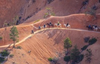 A TRAIL RIDE