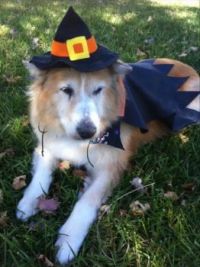 Sweet Witch!