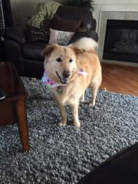Just groomed