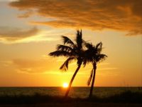 Captiva Island Florida Sunset