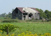 Grey County barn