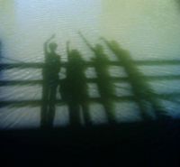 The Waving Shadows