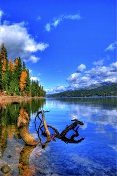 Jigsaw Puzzle | 54 pieces | Huckleberry Bay, Payette Lake, McCall ...