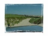 sand dunes in Cape Cod!