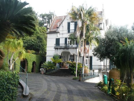 Madeira-Tropical Garden Monte Palace
