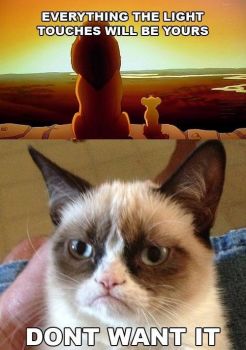 Angry Lion King Cat