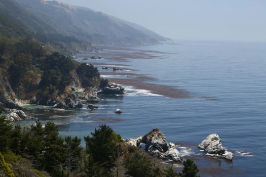 Monterey Coastline, CA