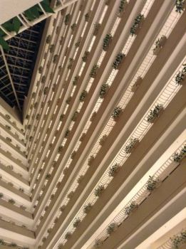 Inside the Pan Pacific Hotel, Singapore