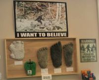 Bigfoot!