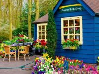 Flower Bulb Shop