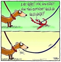 PETS WEEK CONTINUED - 2 OF 4