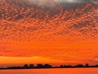 🌞Spectacular Florida Sunset🌞