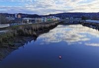 Tamar_02