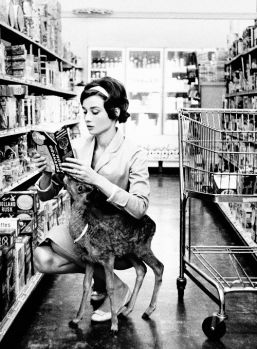 Audrey Hepburn shopping with her deer