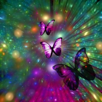 Butterfly fractal