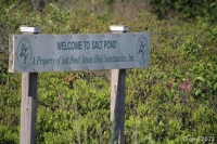 Salt Pond Sign