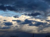 A Blustery Day