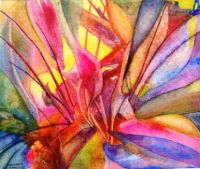 colourfull