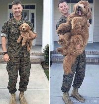 Before And After Deployment