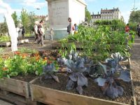 Lyon - Bellecour square - agriculture exposition - vegetable
