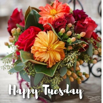 Happy tuesday good morning discount
