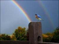 End of the Rainbow
