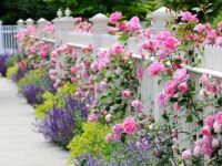 Shabby-Chic-Garden-Decors-Picture-1