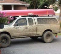 Wash me please