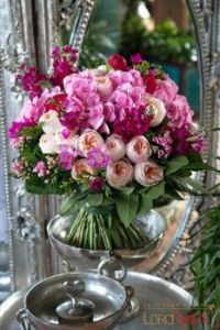 Pretty Pink Blooms