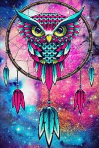 Dream Catcher Owl