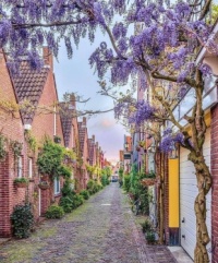 Een Hollands straatje