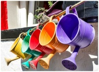 The Colours of Garden Watering Cans