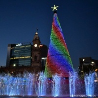 Christmas Tree 4