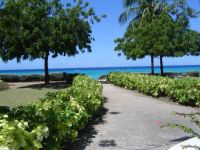 Blue Monkey Beach Barbados