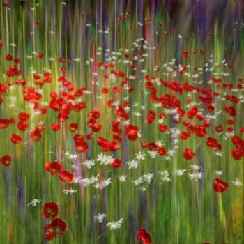 'Floral Dreams' by Greg Vivash