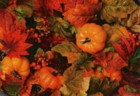 thanksgiving