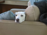 keeping an eye on things