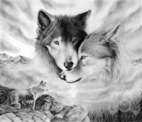 Wolf Night