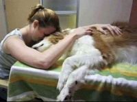 Pet at the vet (from Facebook)