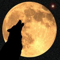Halloween Fun #12 (A-wooooooooooooooooooooo...)