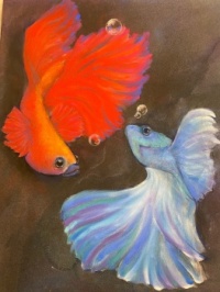 Dance of the fighting fish