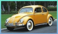 VW Beetle bug... Bandit...
