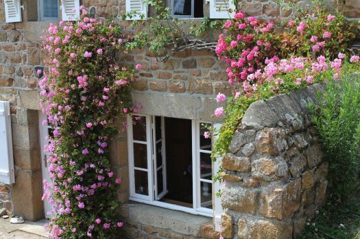 Window and flowers in Brehat, France, photo by killerfemme
