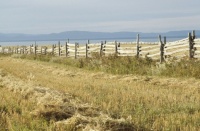 coastal-prairie-fence-quebec-canada-2089390