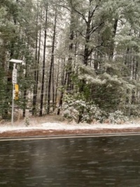Snow in Show Low 2