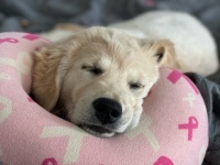 Gracie Mae